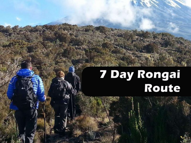 7Day-Rongai-Cover-Black1