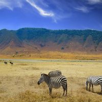 Ngorongoro Crater-960