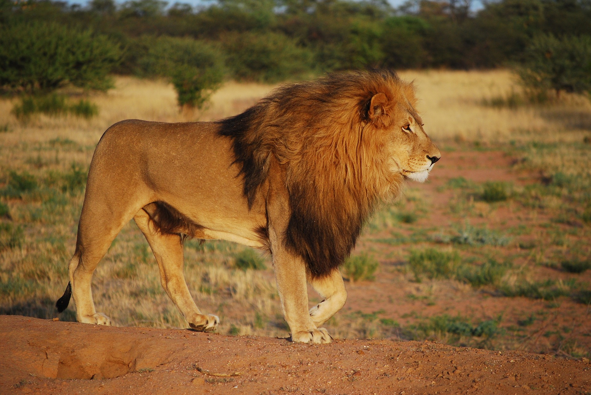 kilimanjaro safari and zanzibar package