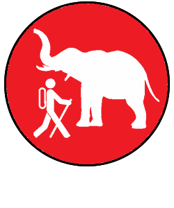 Walking Safari