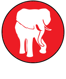Day 1&2 – Elephant Safari