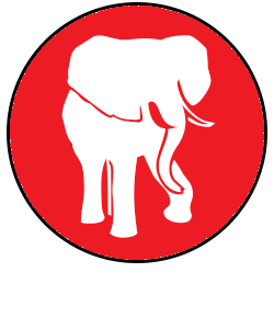 Day 1 -Safari