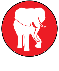 Day 2 – Safari