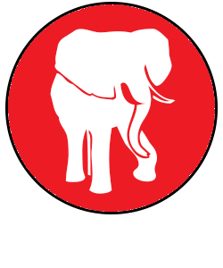 Day 4 Safari